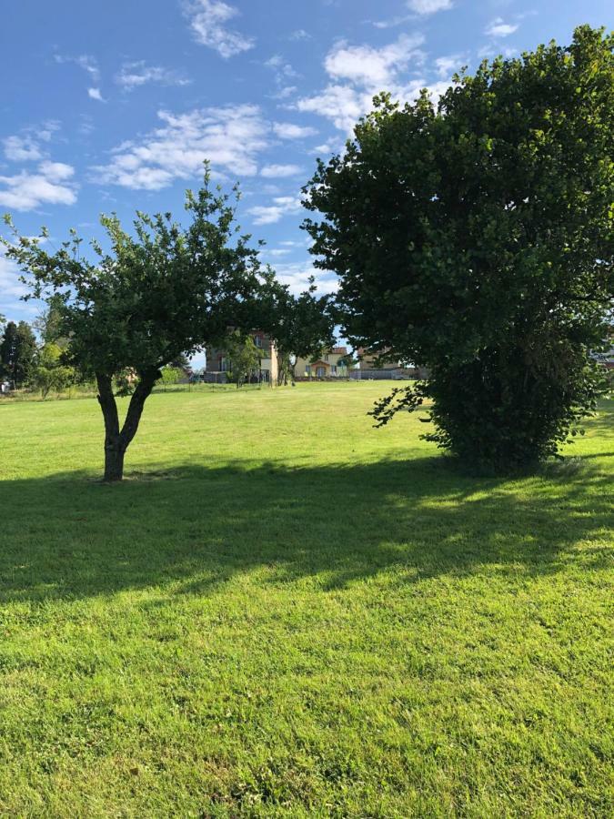 The Walnut Tree Gite Le Dorat Dış mekan fotoğraf